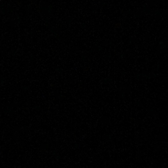 Meet your Posher, Reagan - Picture 1 of 1